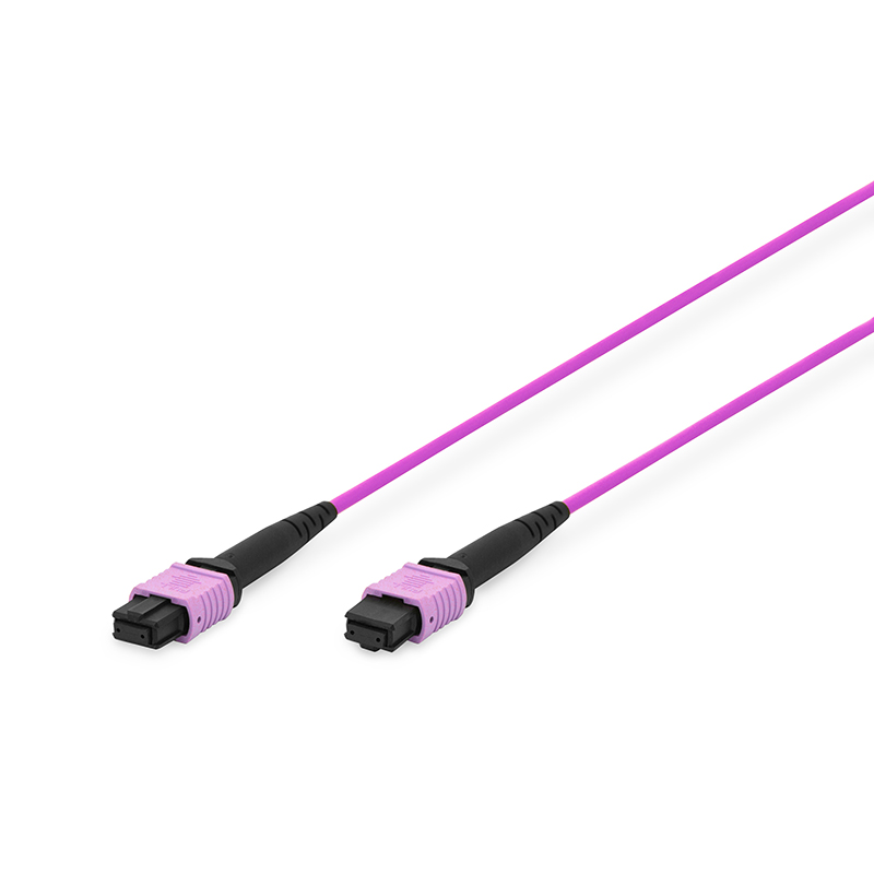 Fiber Optic Patch Cord MPO Female OM4, MM 50/125 µ, APC, Method A